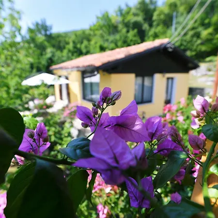 Charming With Terrace And Garden *